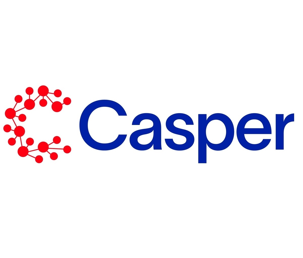Casper Network là gì? Tìm hiểu về tiền điện tử CSPR token